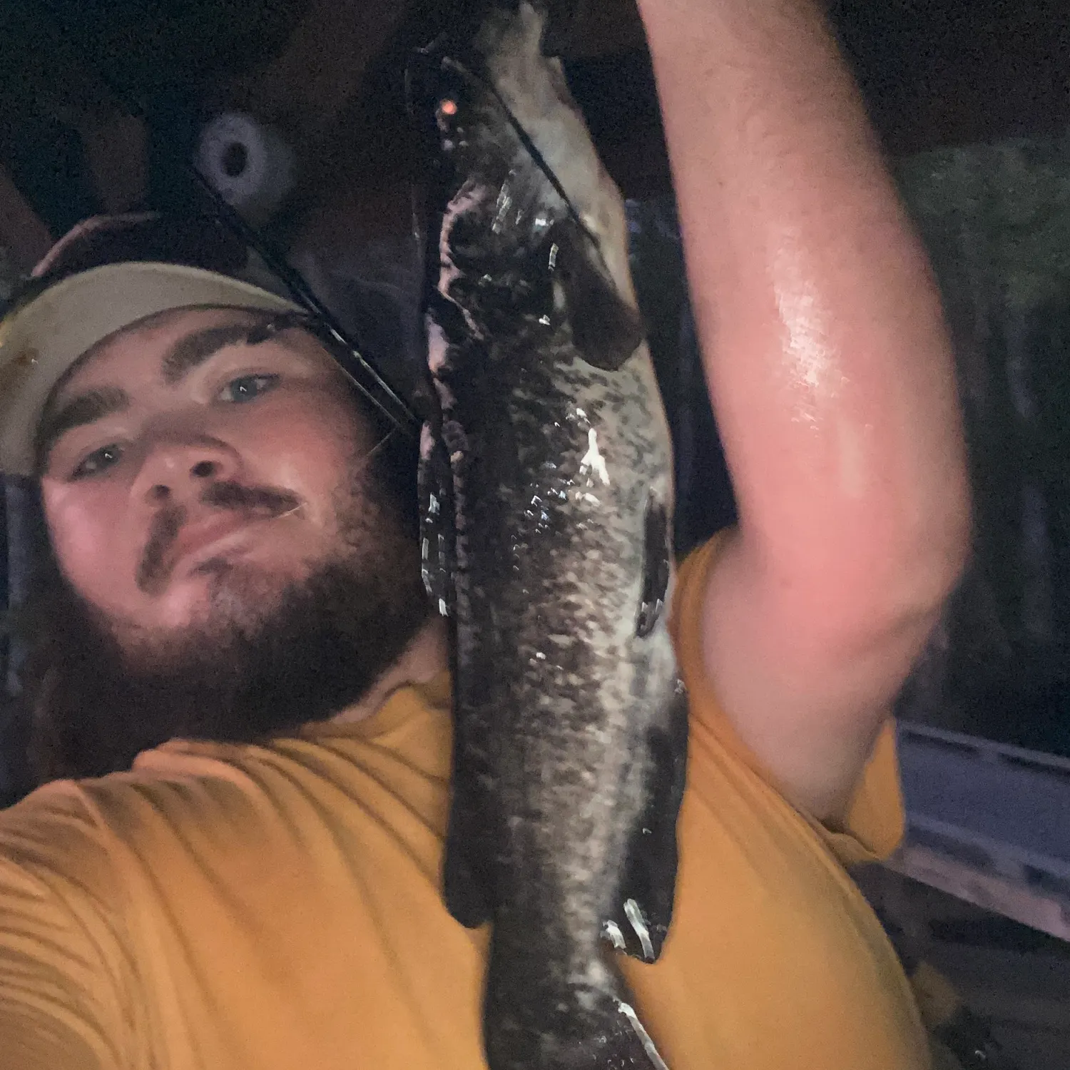 Brown bullhead caught on Fishbrain
