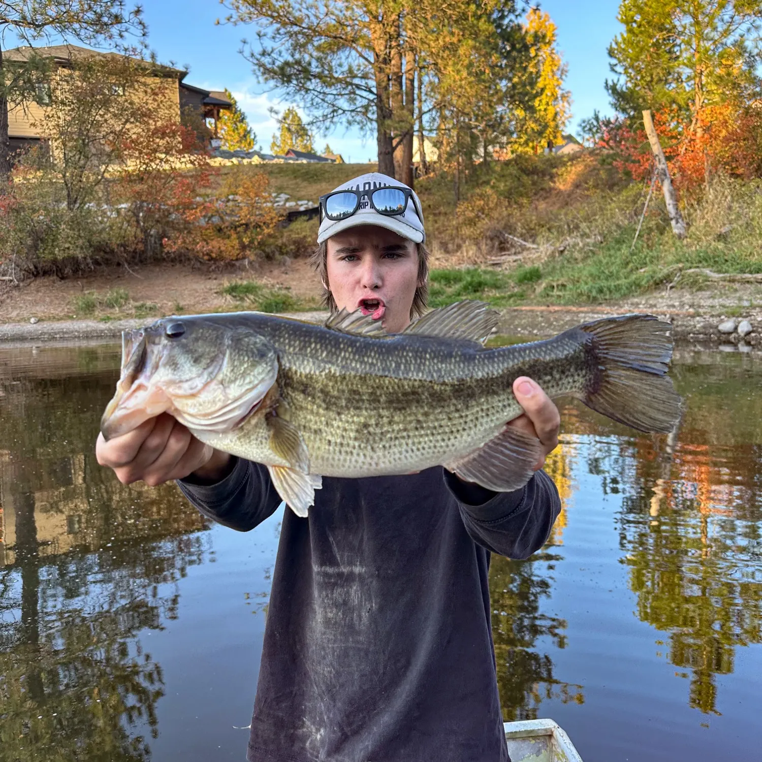 Largemouth bass caught on Fishbrain