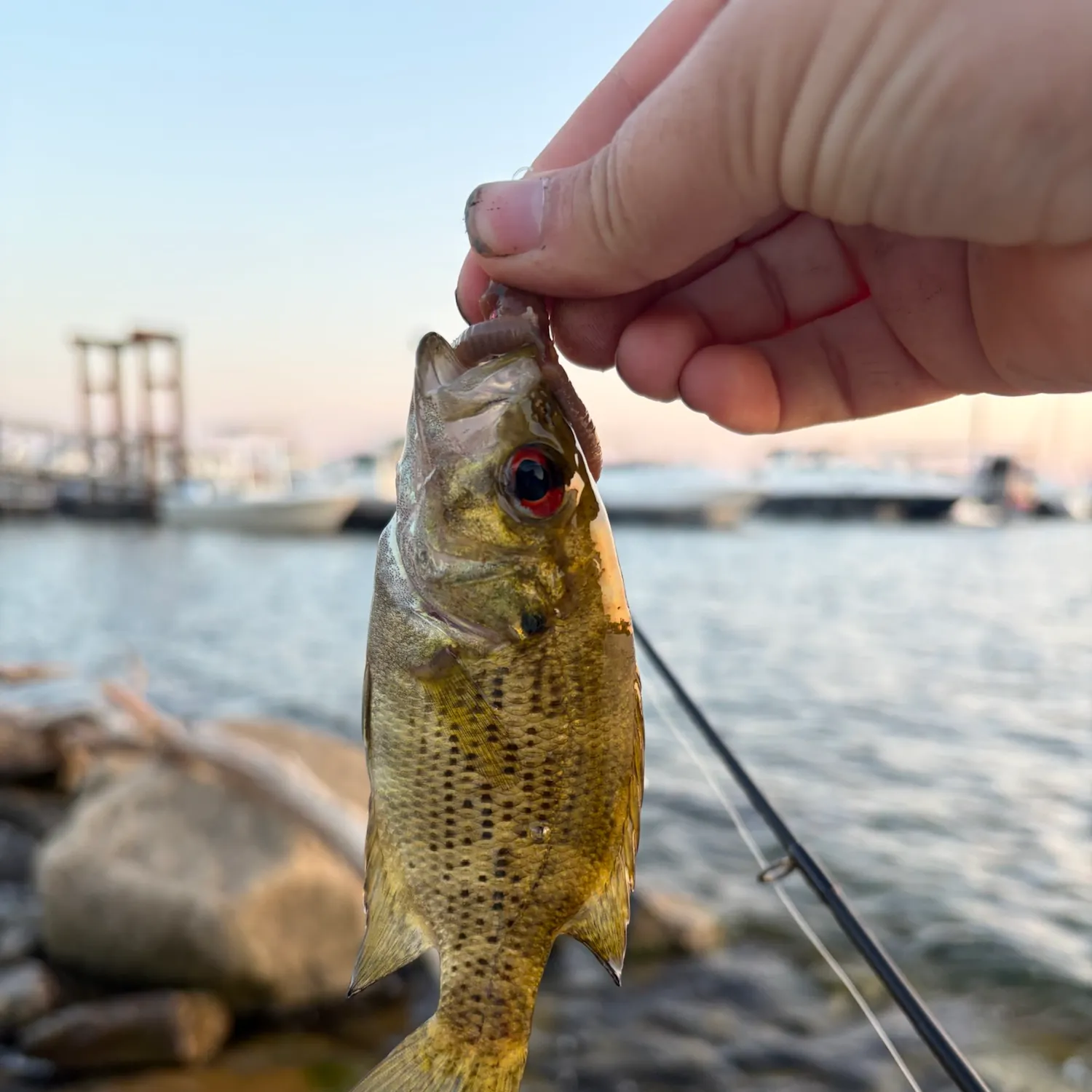 catch