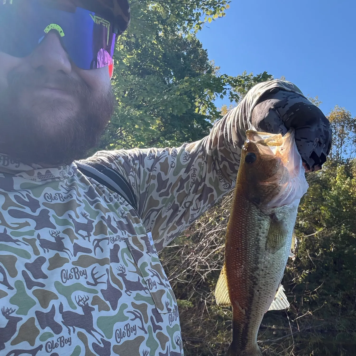 Largemouth bass caught on Fishbrain