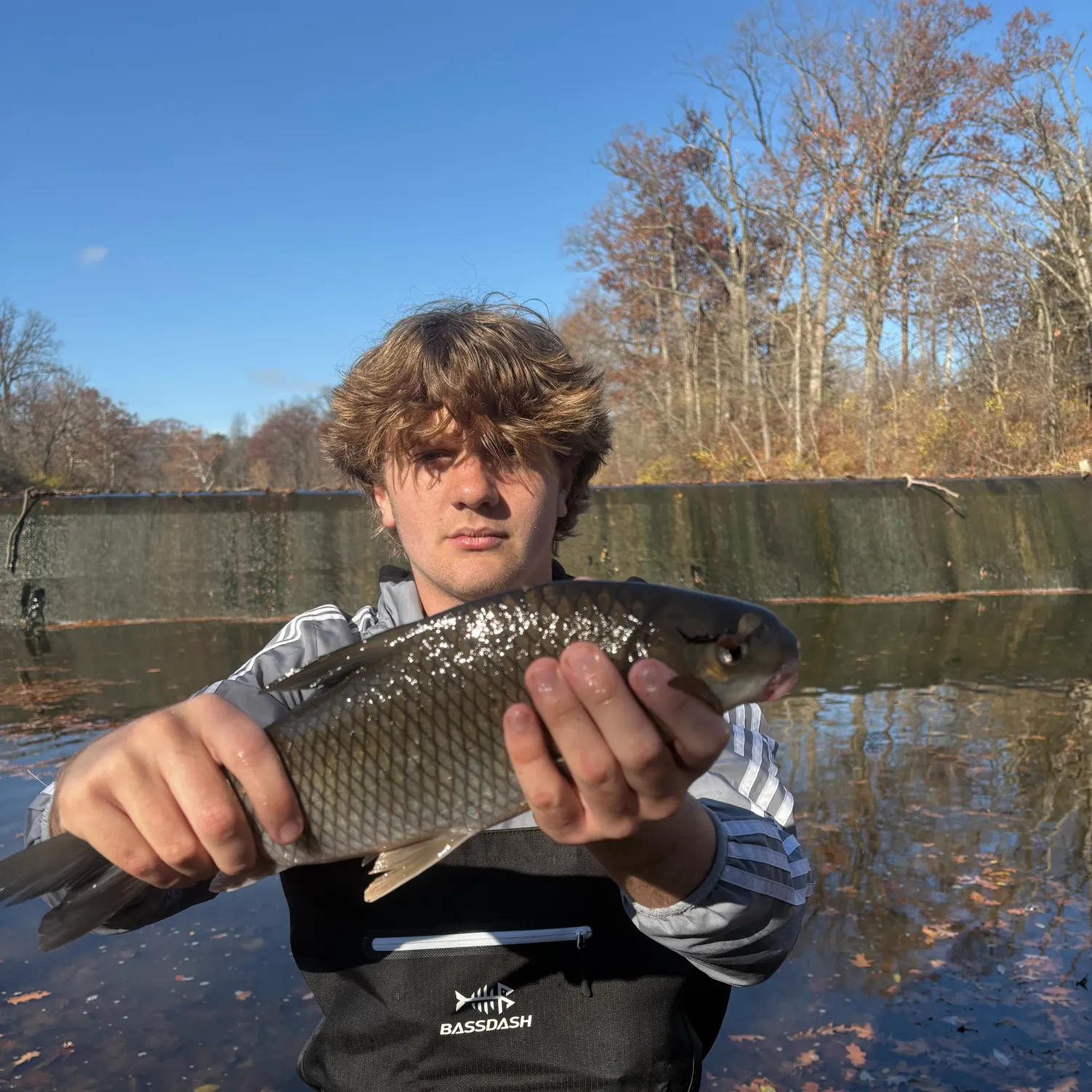The most recent Quillback catches on Fishbrain