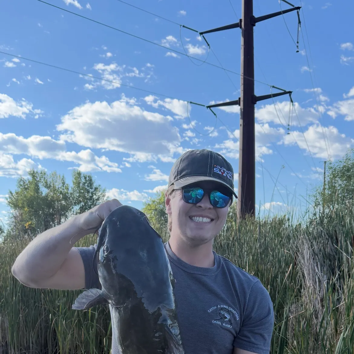 Channel catfish caught on Fishbrain