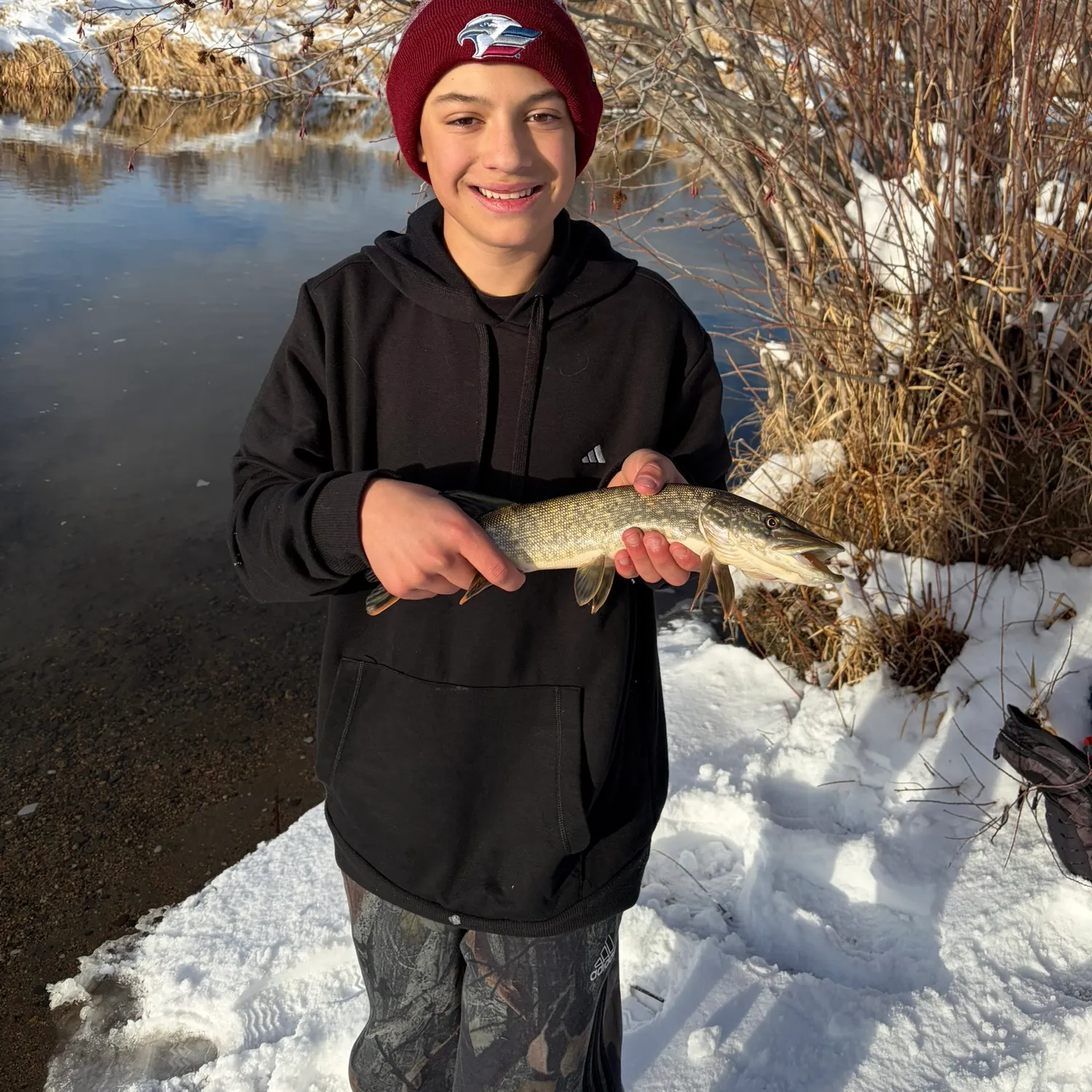 The most recent Northern pike catches on Fishbrain