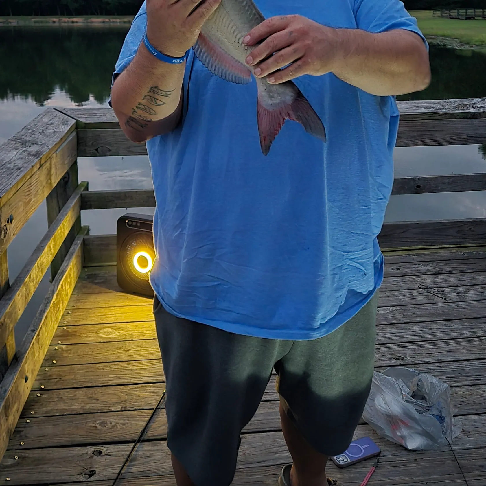 Channel catfish caught on Fishbrain