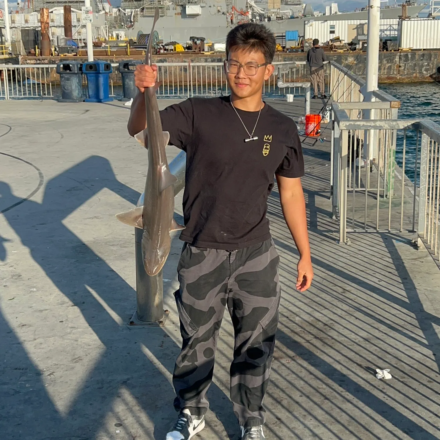 The most recent Grey smooth-hound catches on Fishbrain
