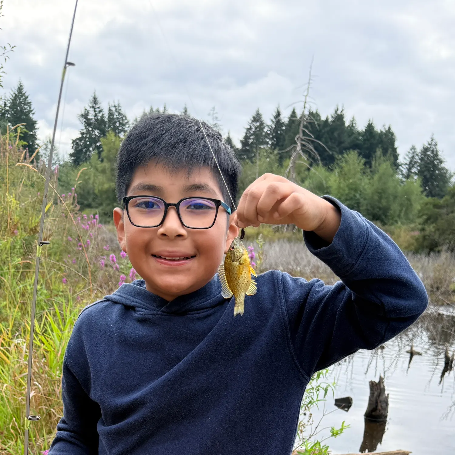Pumpkinseed caught on Fishbrain