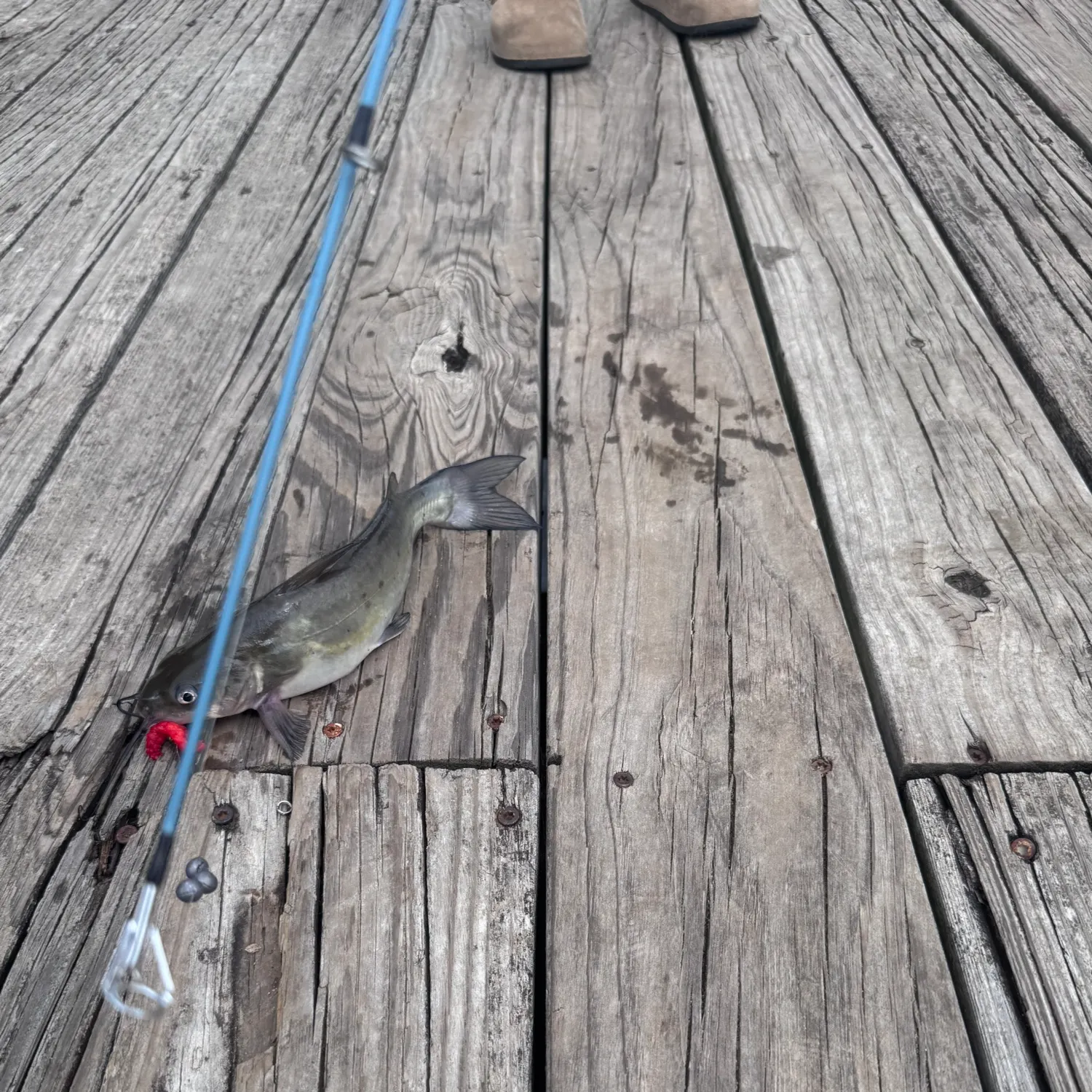 catch