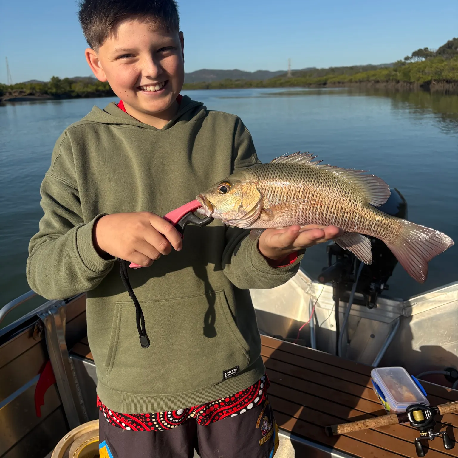The most recent Mangrove red snapper catches on Fishbrain
