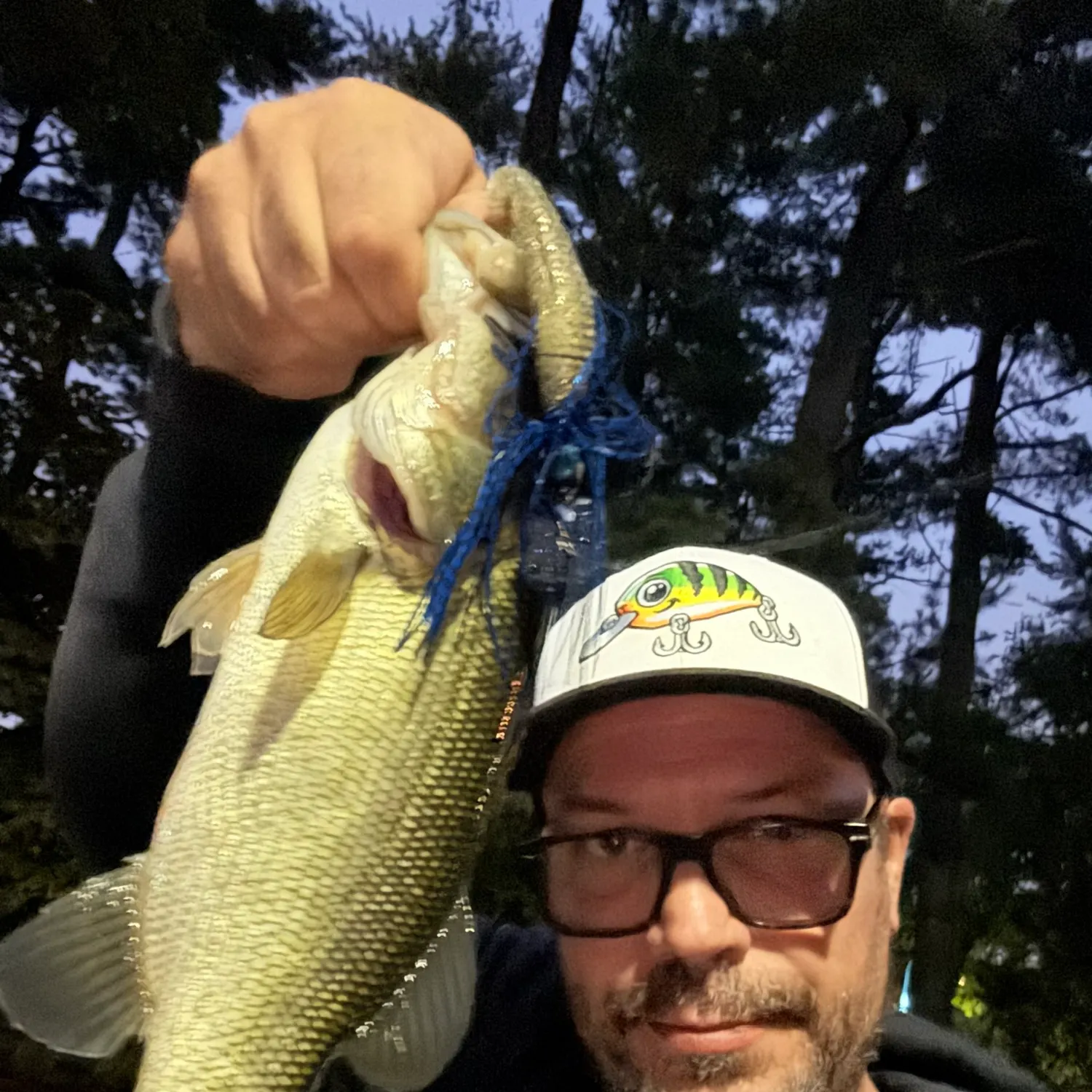 Largemouth bass caught on Fishbrain