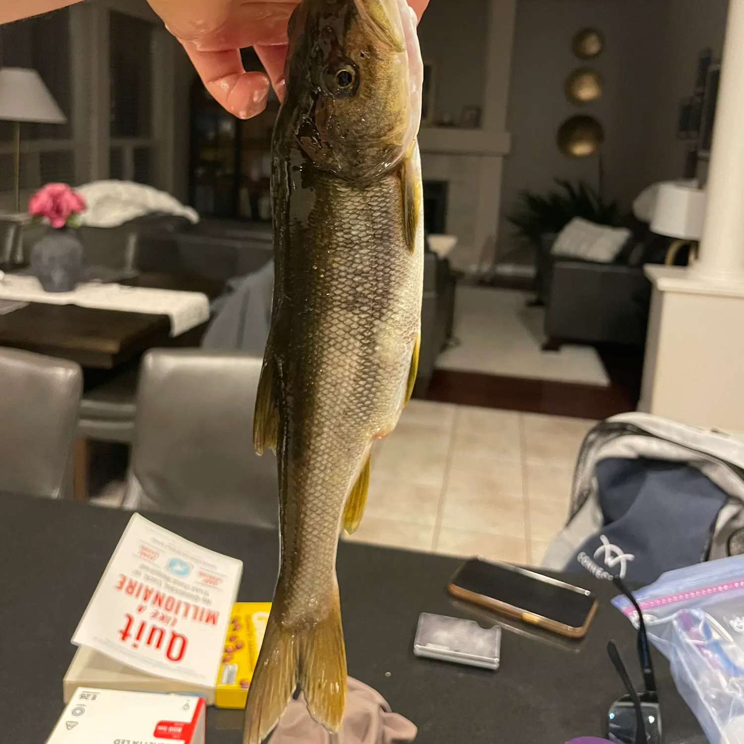 catch
