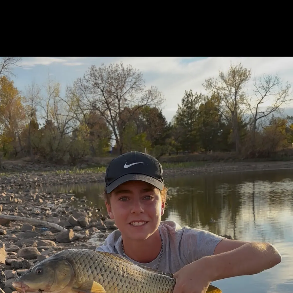 Common carp caught on Fishbrain