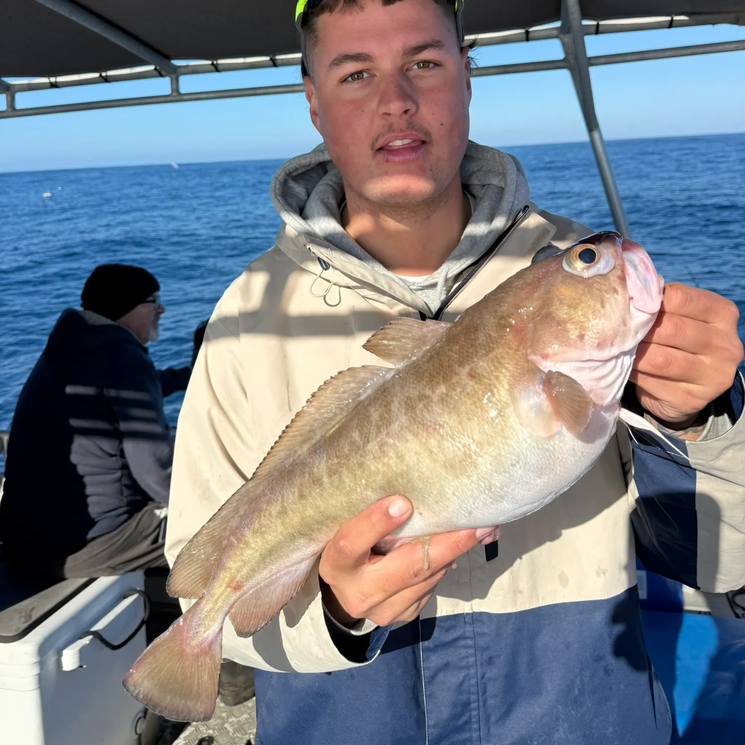 The most recent Red codling catches on Fishbrain