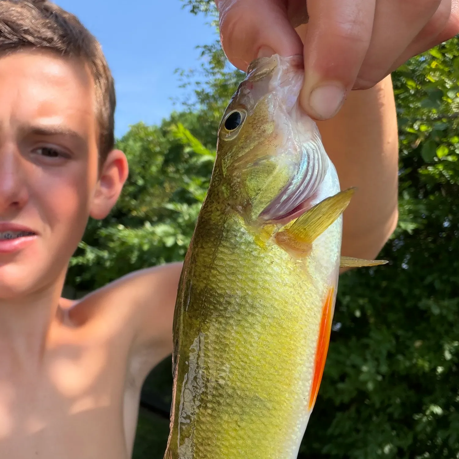 catch