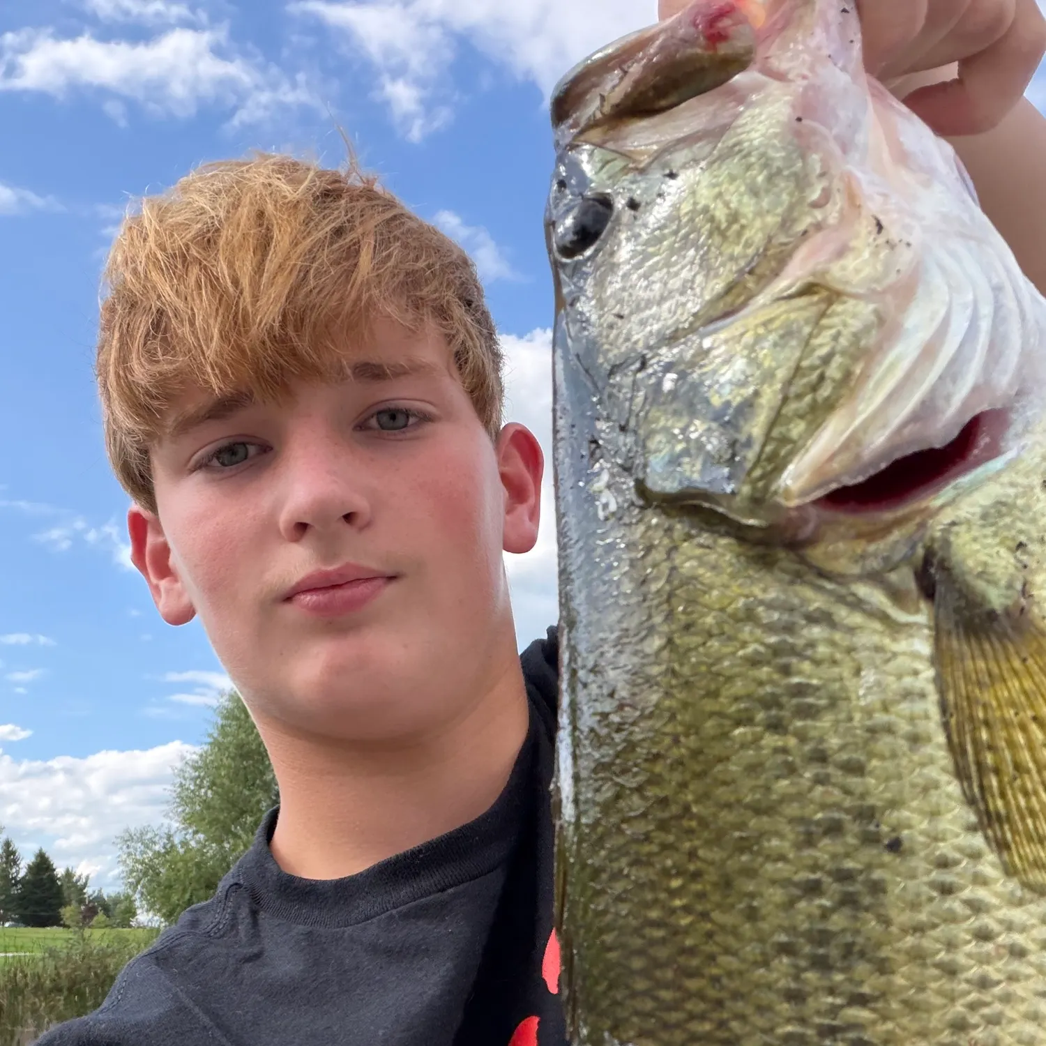 Largemouth bass caught on Fishbrain