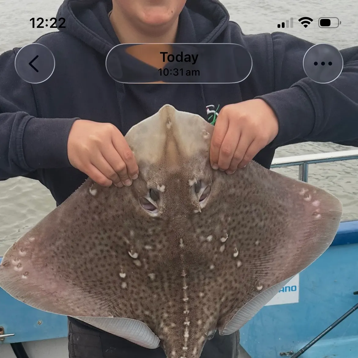 recently logged catches