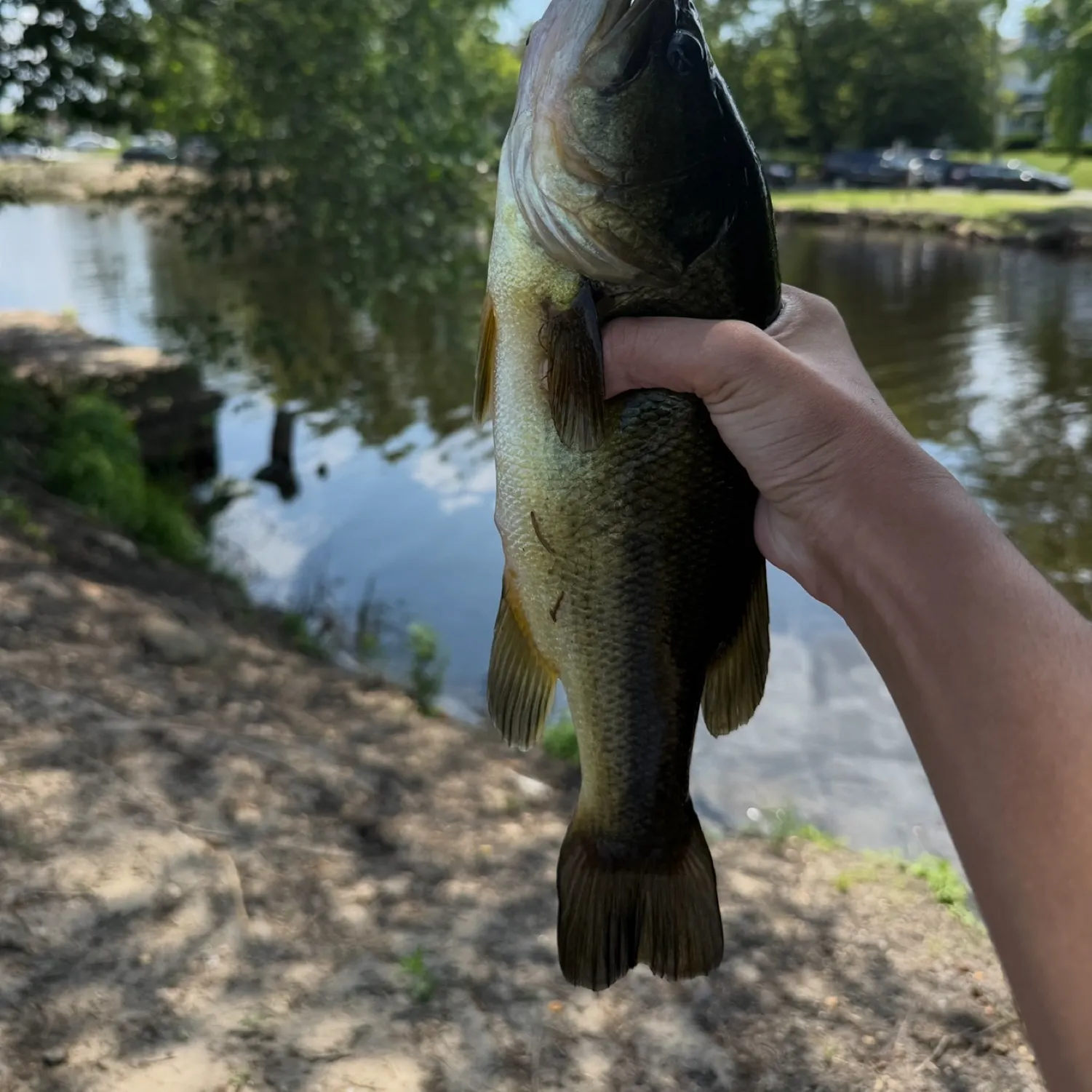angler catch