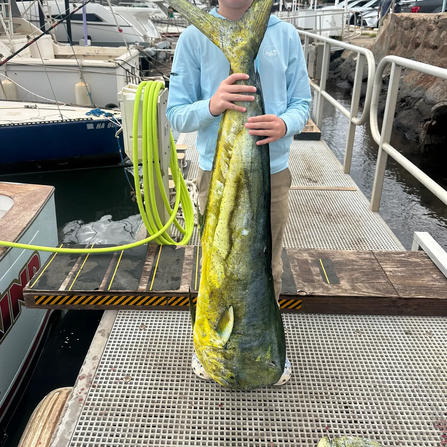 Common dolphinfish caught on Fishbrain