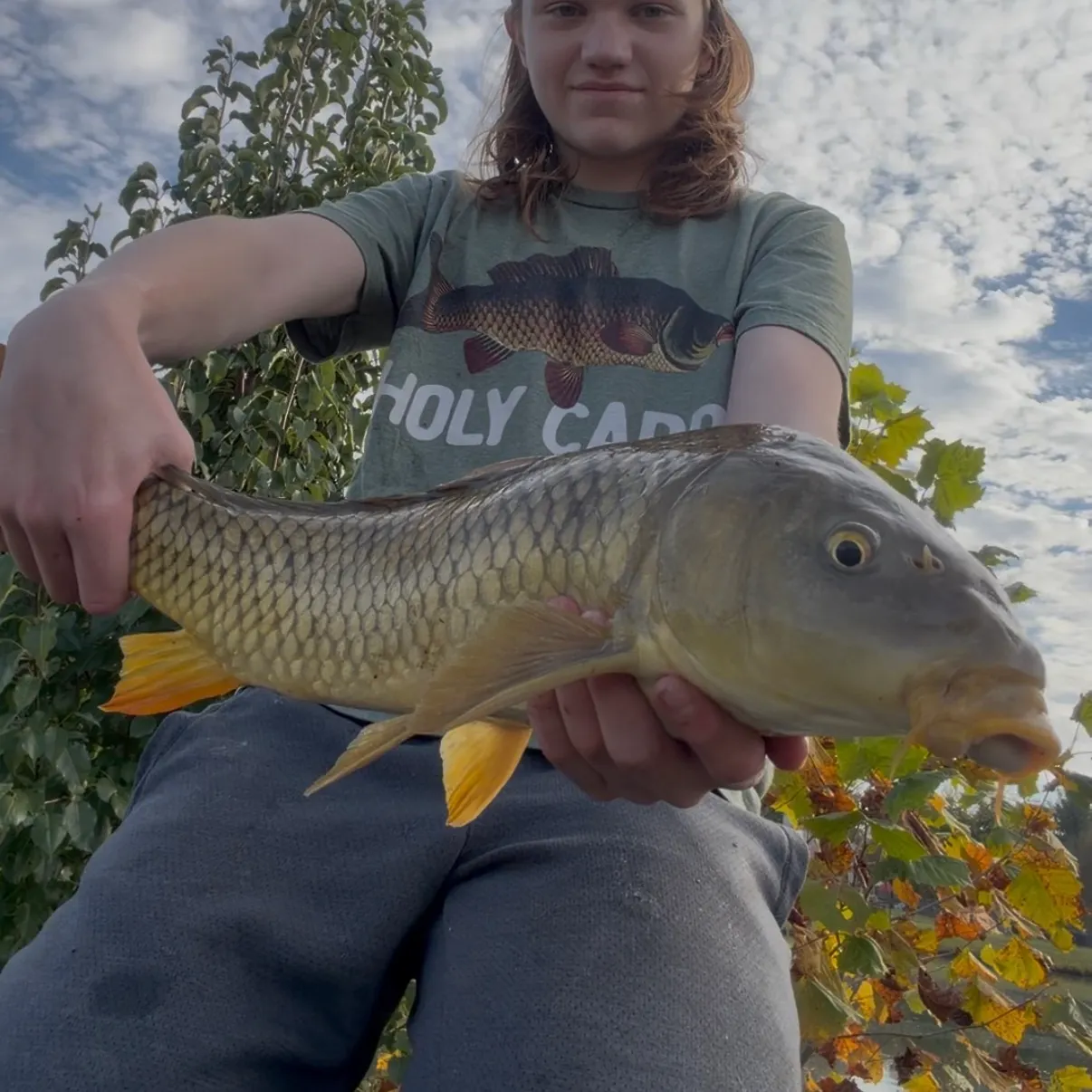 Common carp caught on Fishbrain