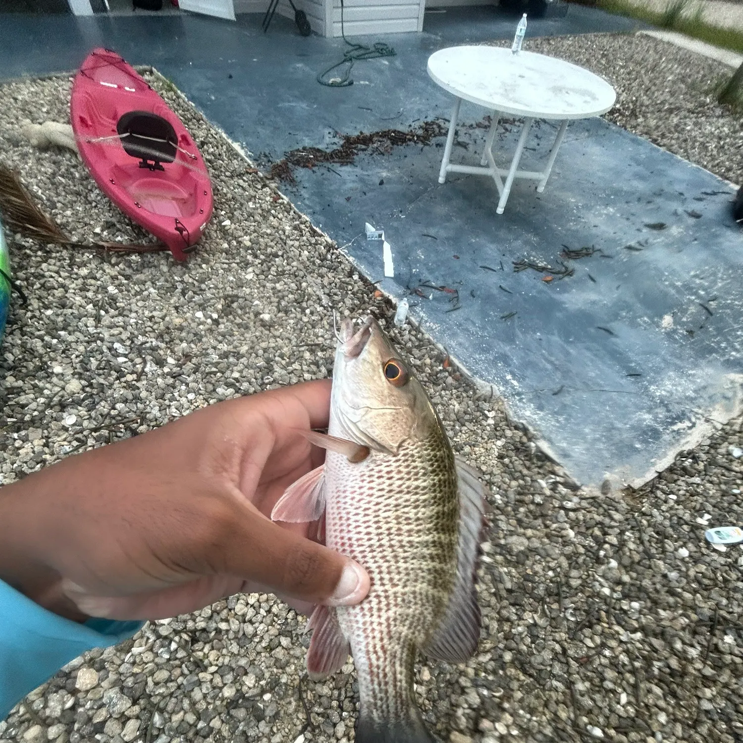 catch