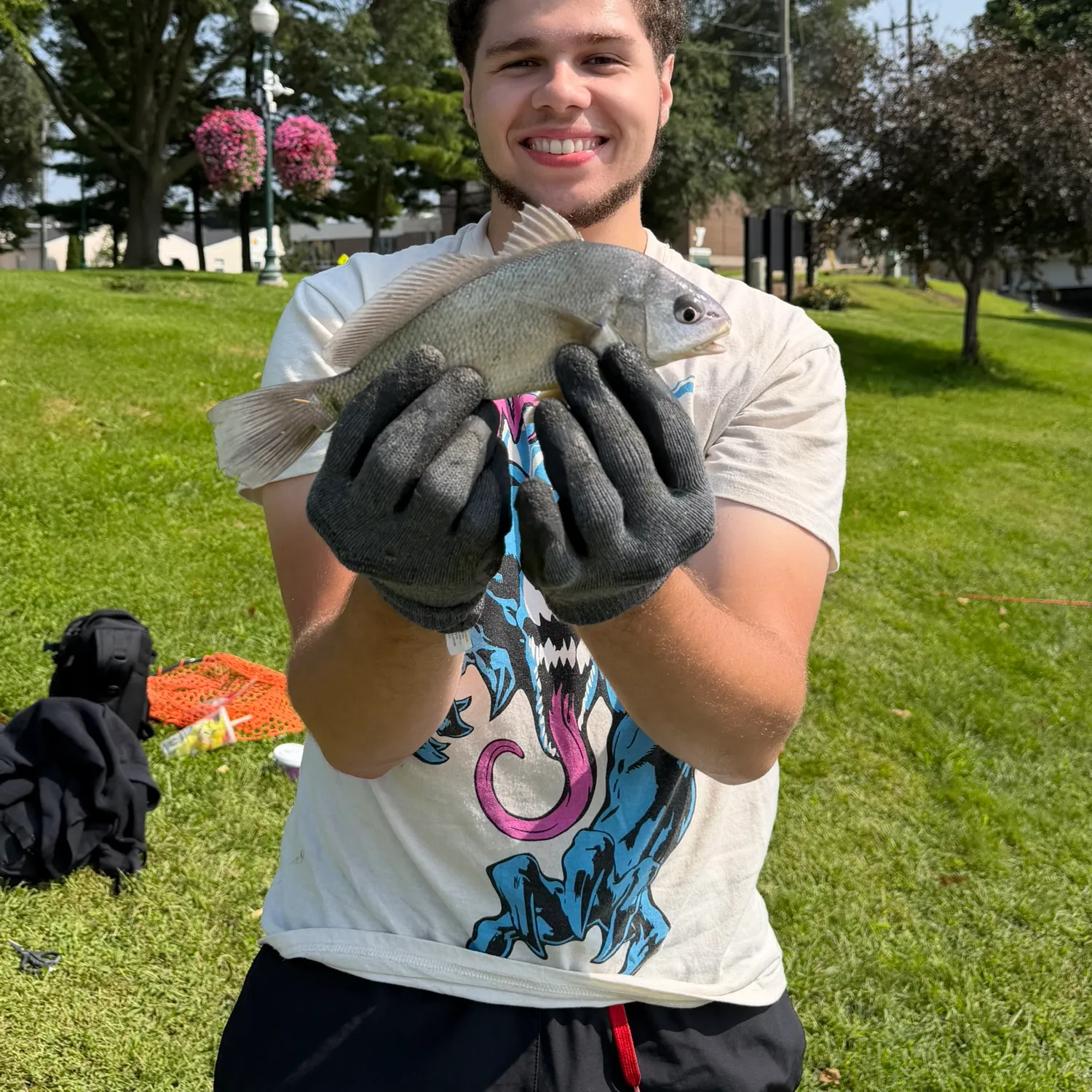 Freshwater drum caught on Fishbrain
