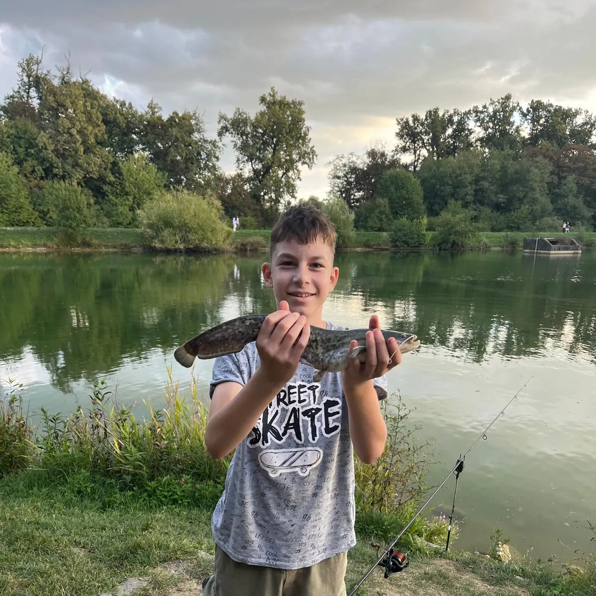 The most recent Wels catfish catches on Fishbrain