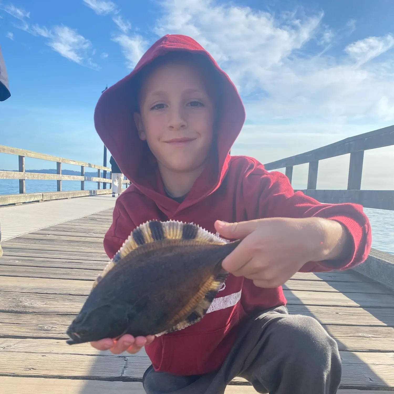 The most recent Starry flounder catches on Fishbrain