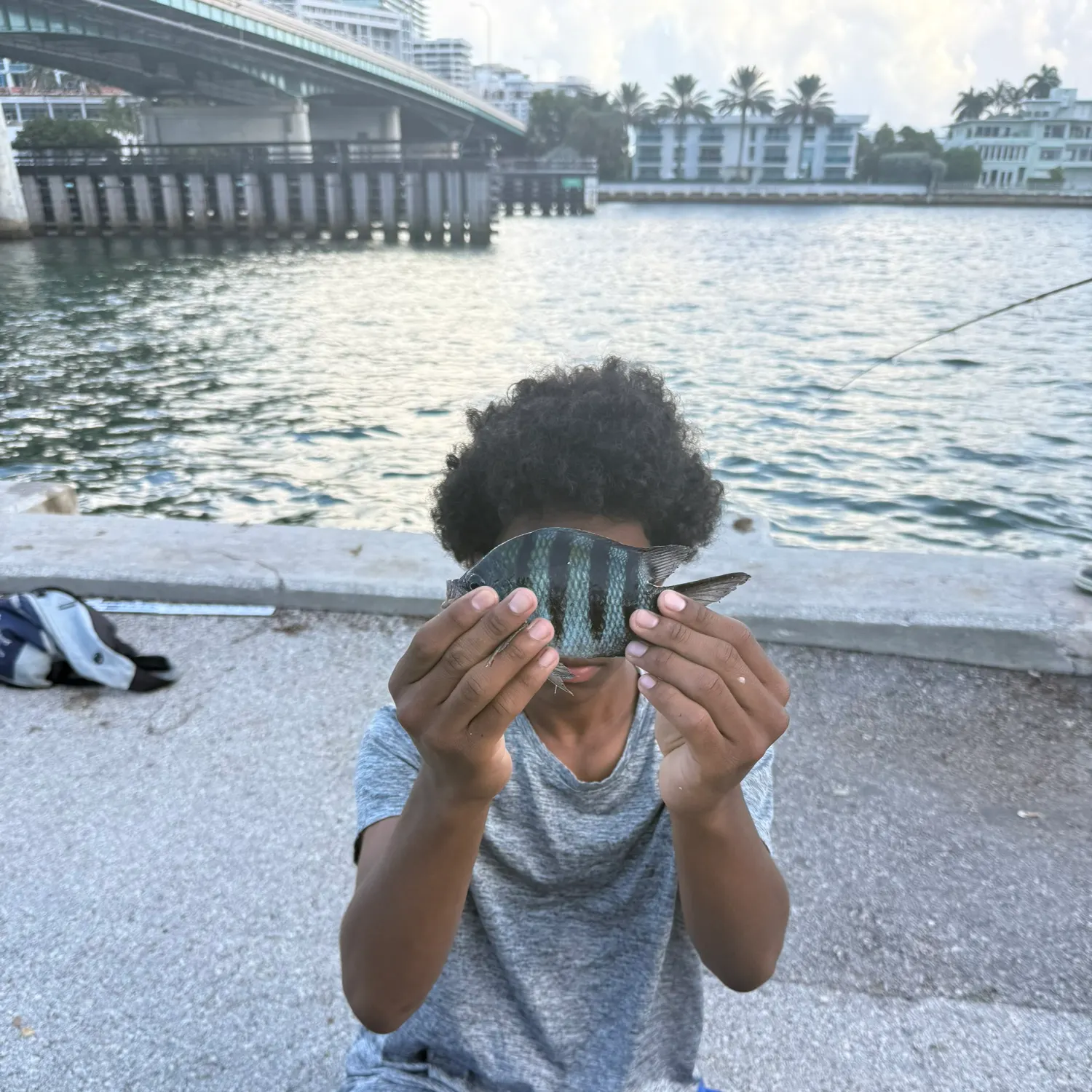 The most recent Panamic sergeant major catches on Fishbrain