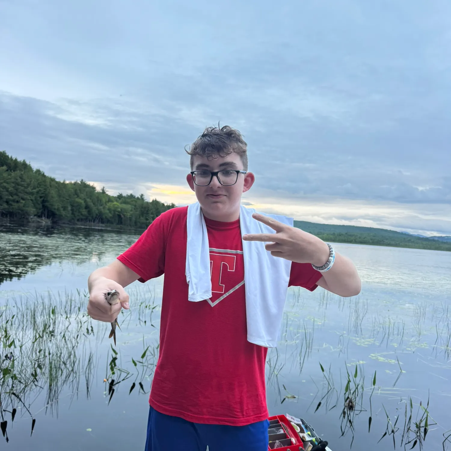 Chain pickerel caught on Fishbrain