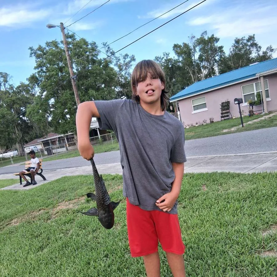 The most recent Suckermouth catfish catches on Fishbrain