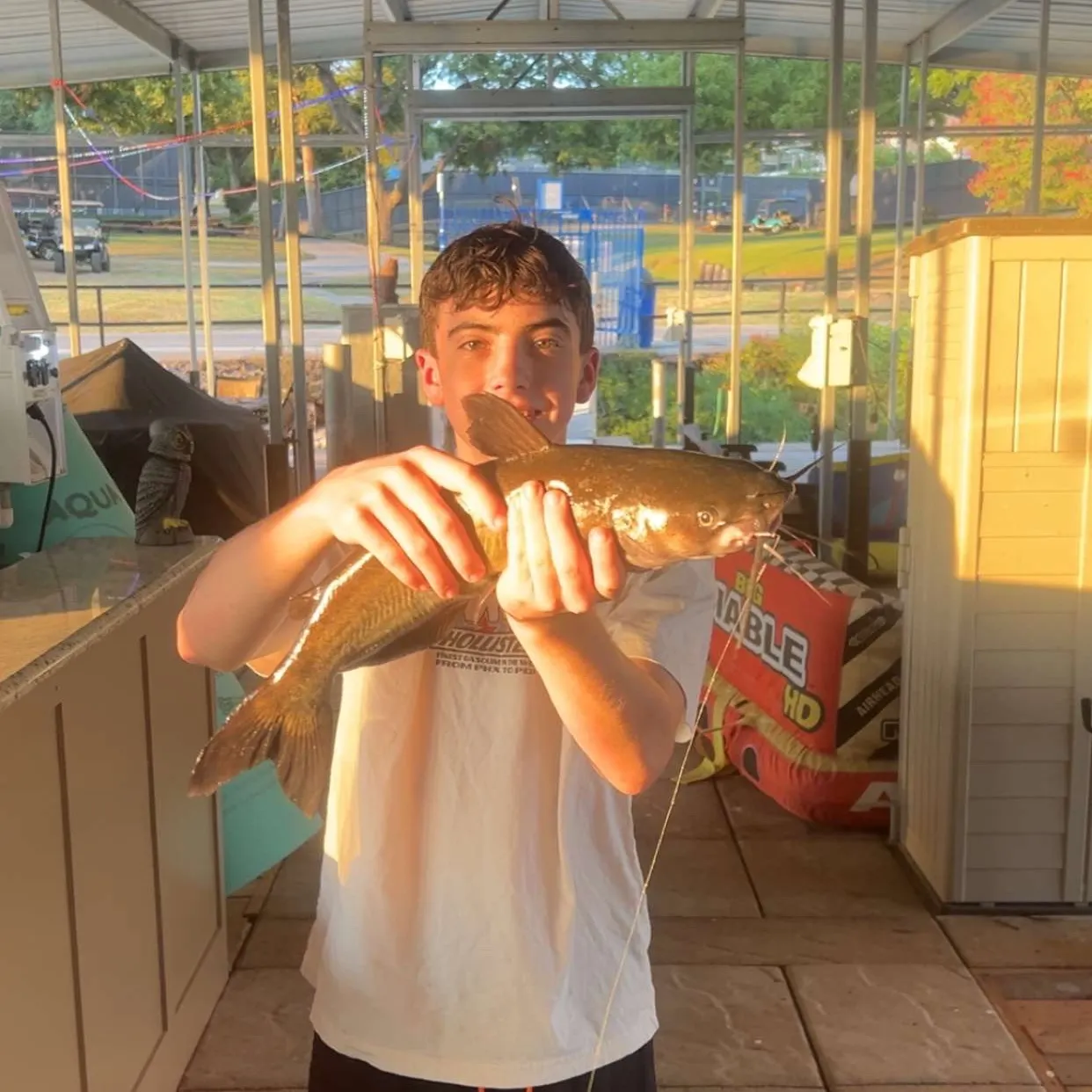 Channel catfish caught on Fishbrain