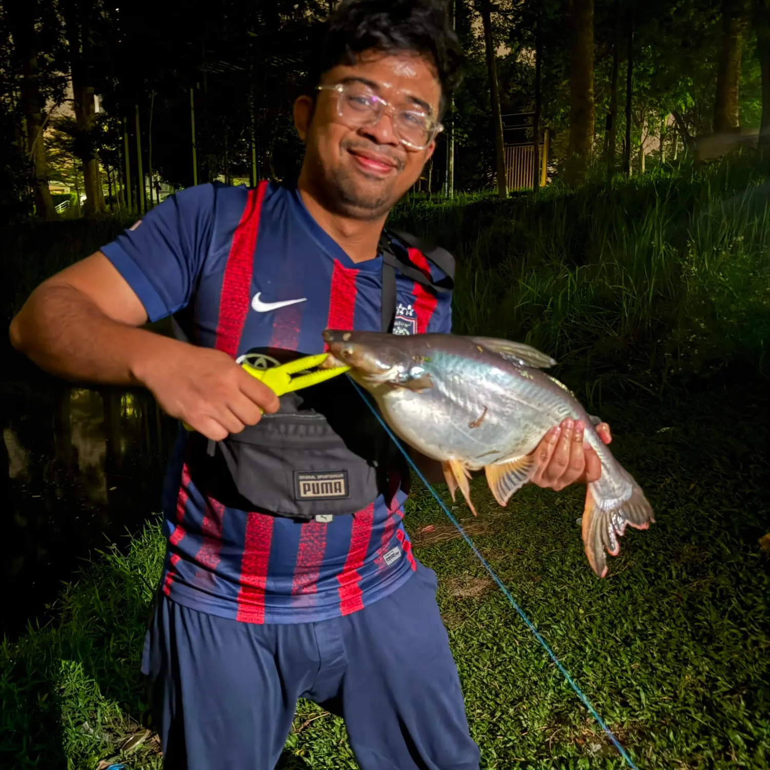 The most recent Yellowtail catfish catches on Fishbrain