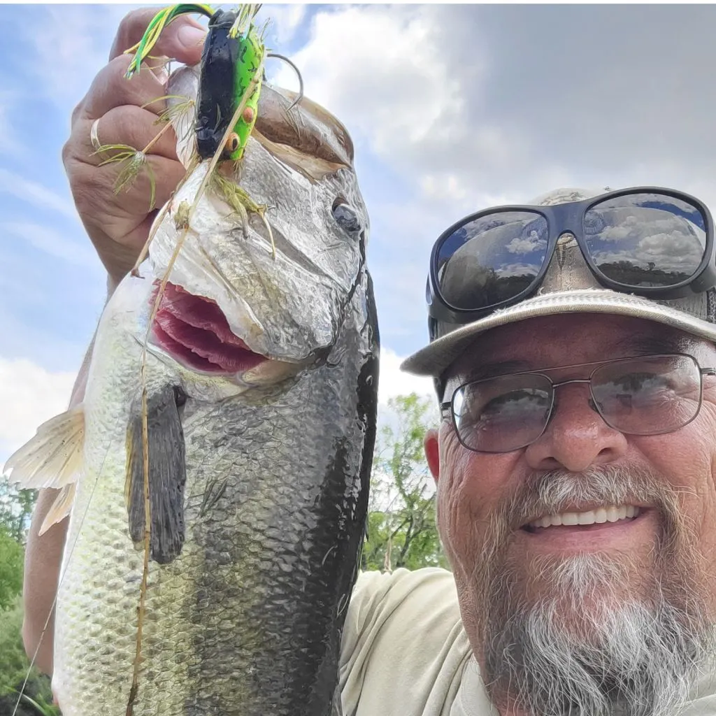 angler catch