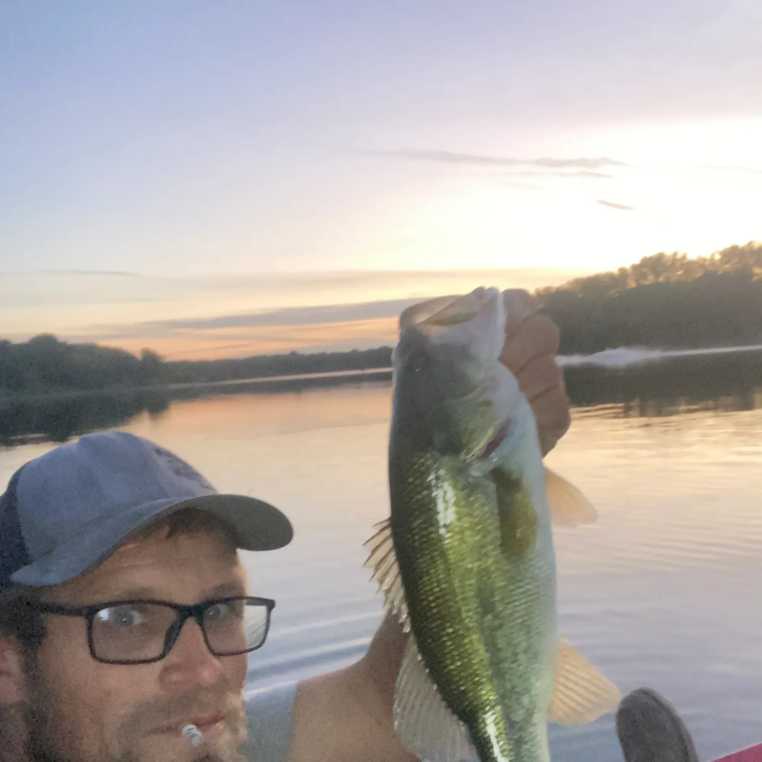 Largemouth bass caught on Fishbrain