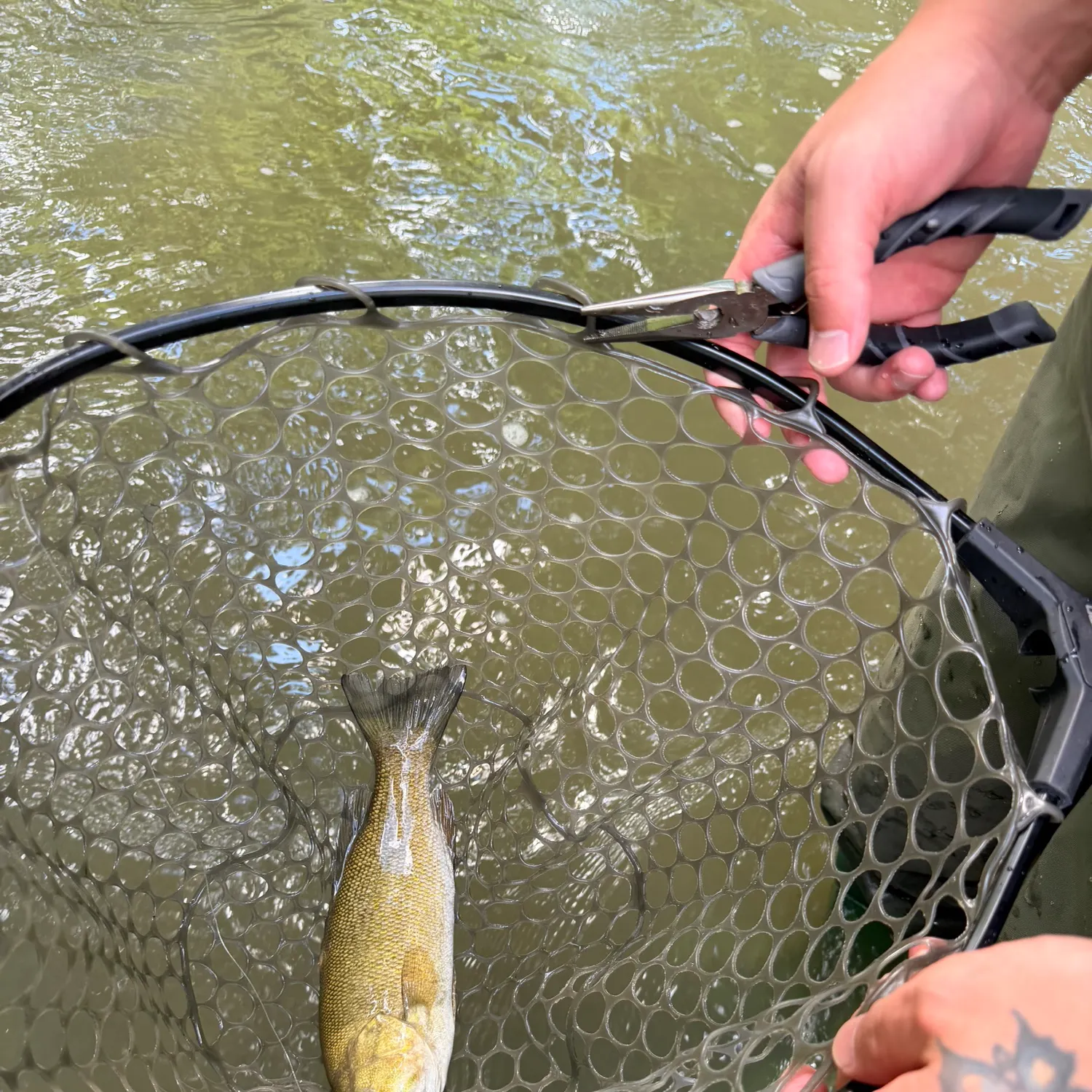 catch