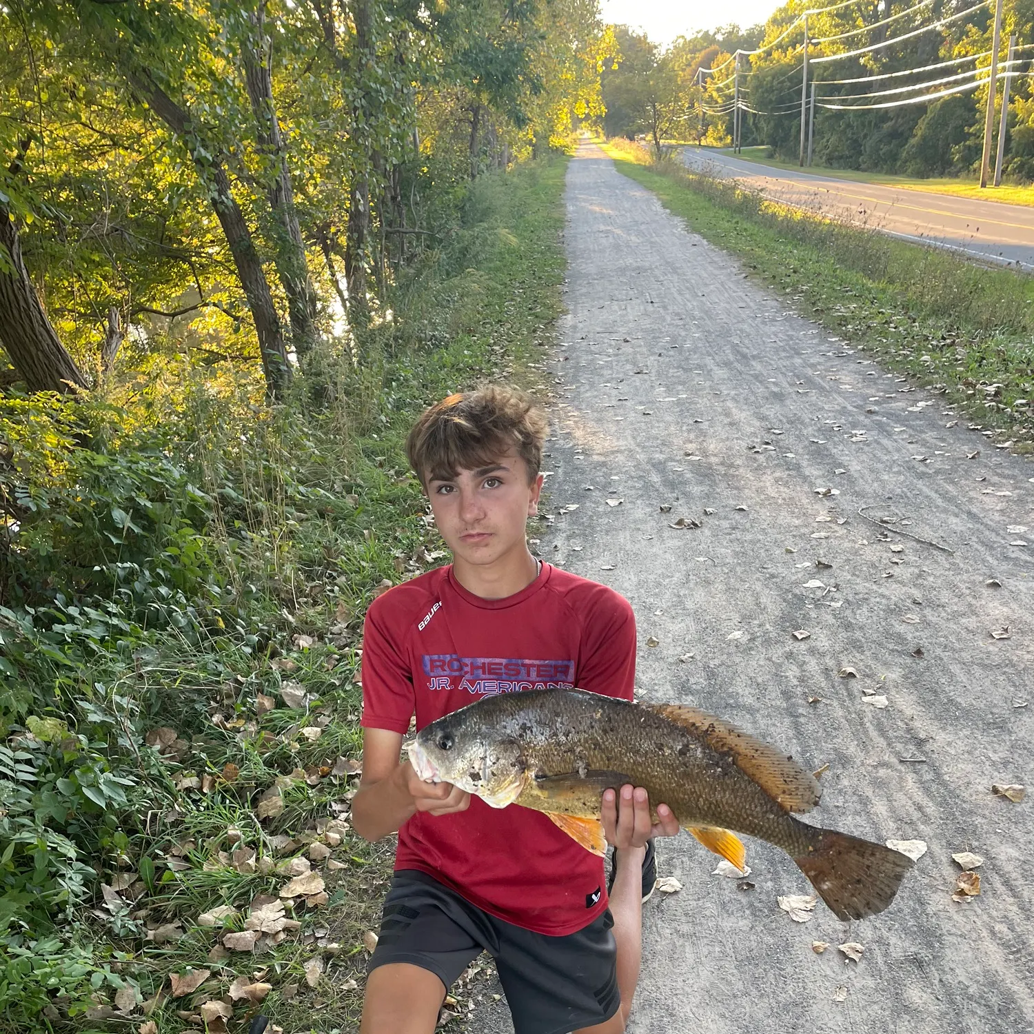 Freshwater drum caught on Fishbrain