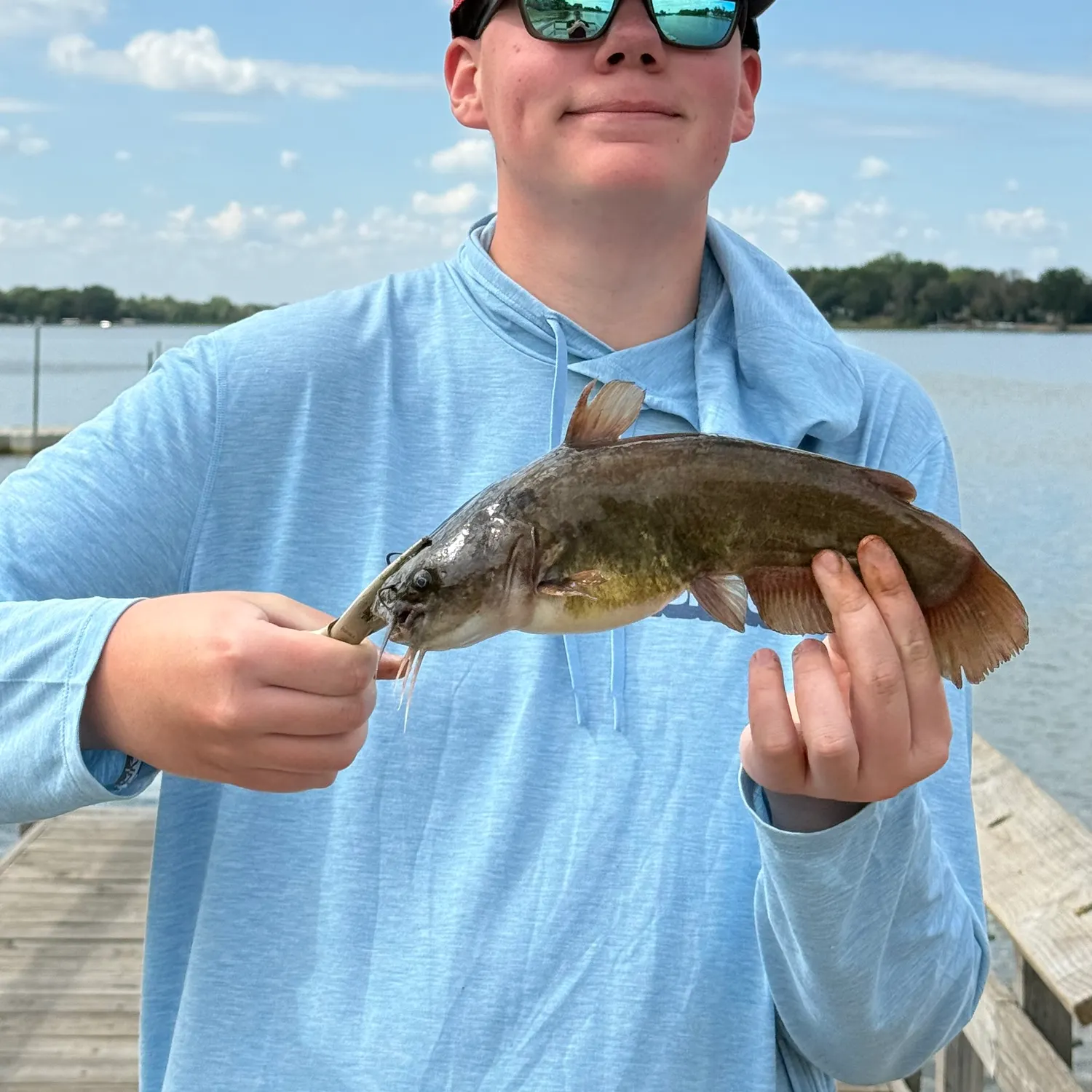 Yellow bullhead caught on Fishbrain