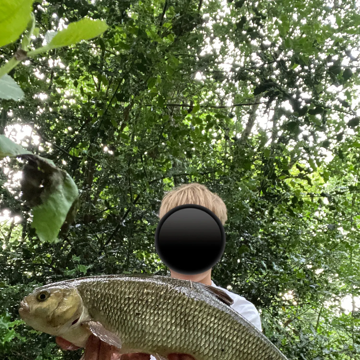 The most recent Ide catches on Fishbrain