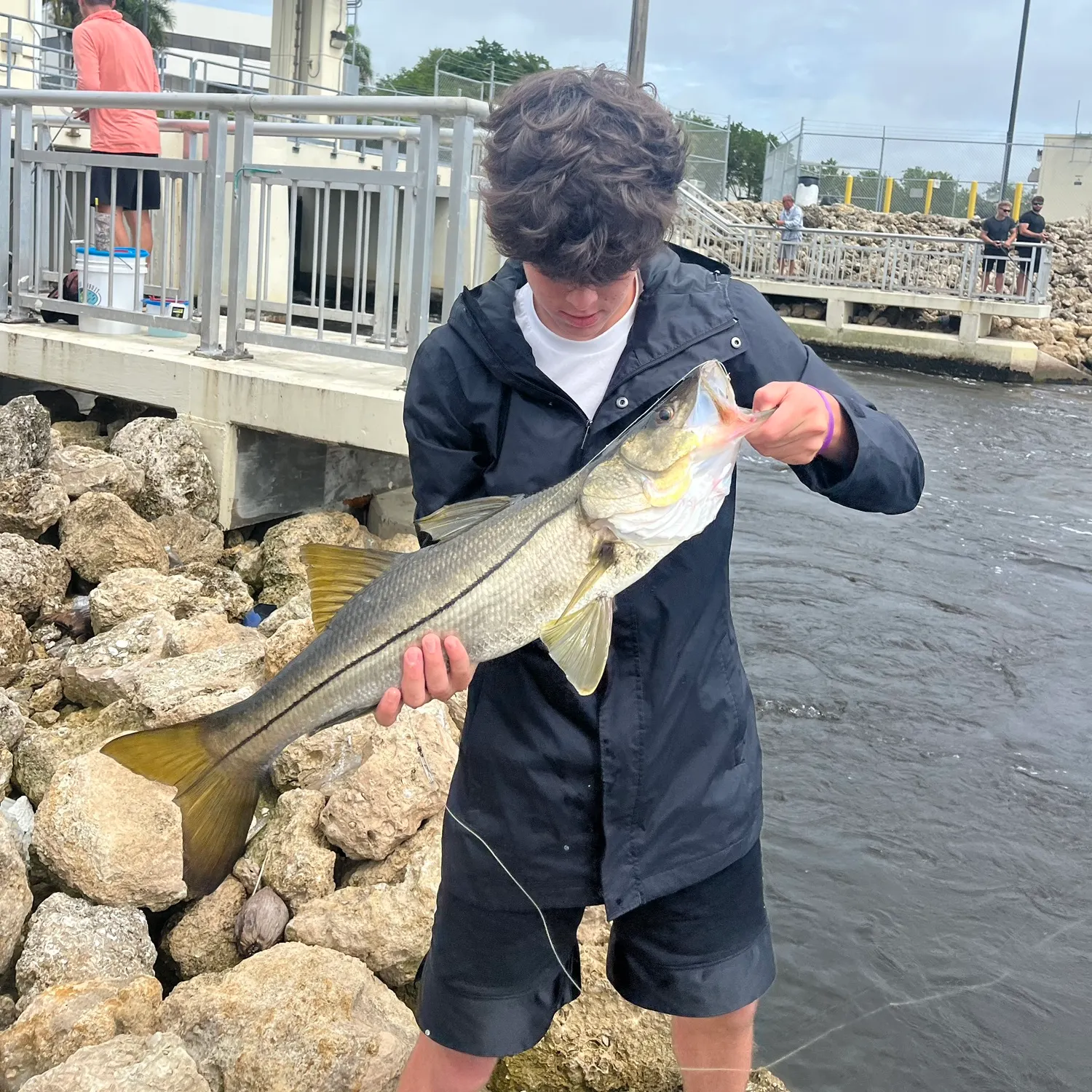 The most recent Common snook catches on Fishbrain