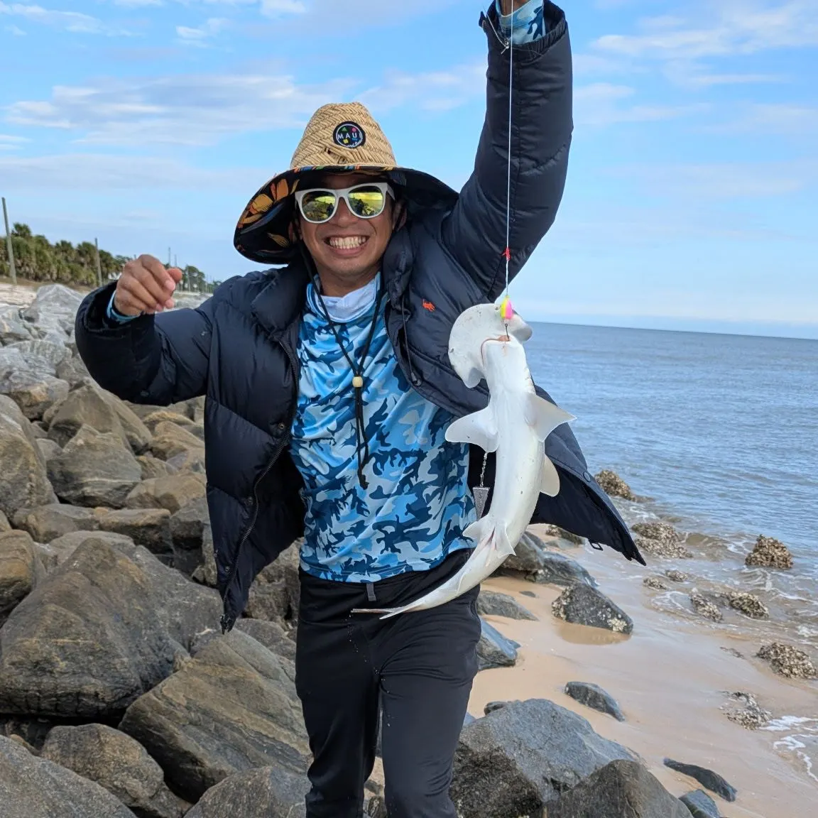 The most recent Scalloped hammerhead shark catches on Fishbrain