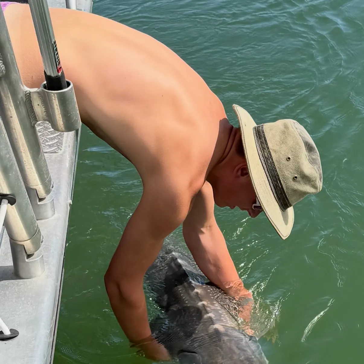 The most recent White sturgeon catches on Fishbrain