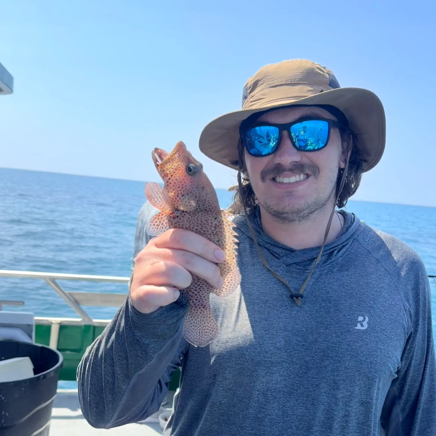 The most recent Strawberry hind catches on Fishbrain