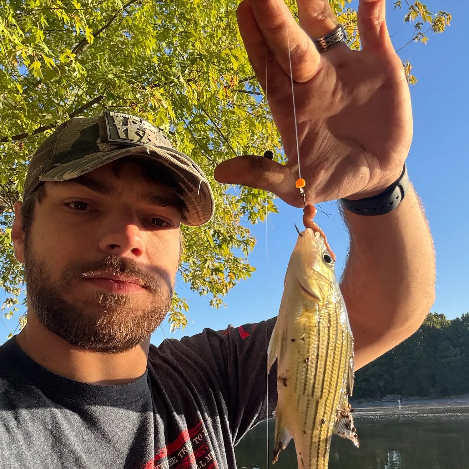 Striped bass caught on Fishbrain