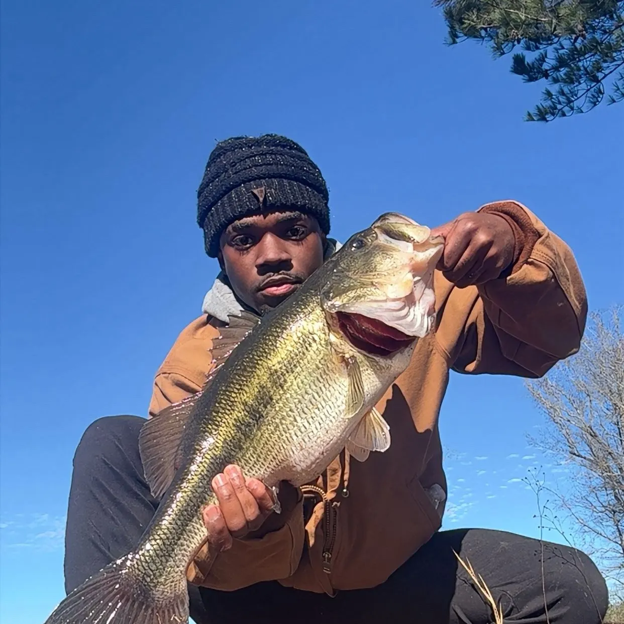 The most recent Largemouth bass catches on Fishbrain