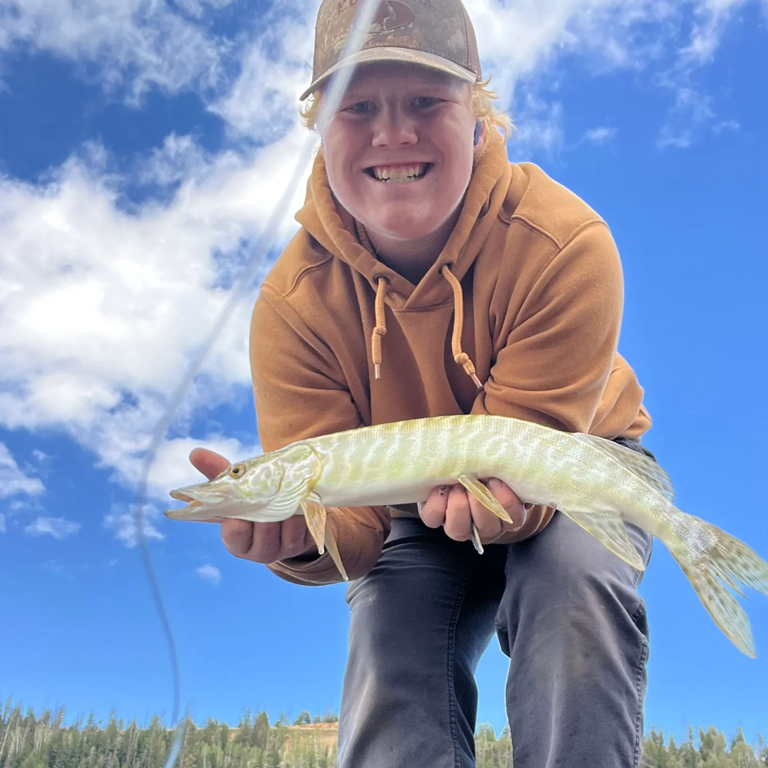 Tiger muskie caught on Fishbrain