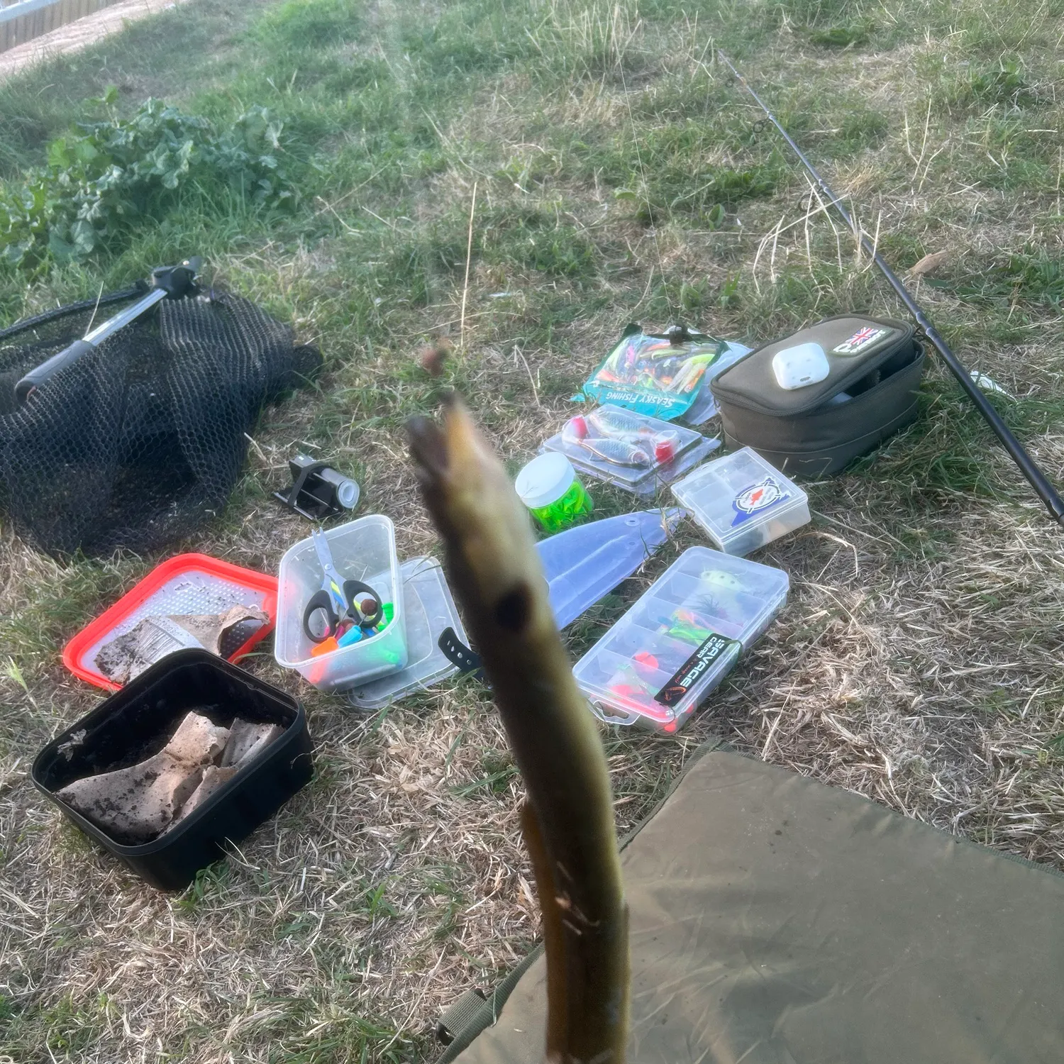 The most recent European eel catches on Fishbrain