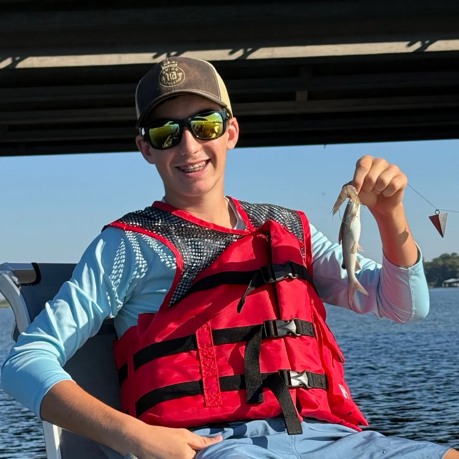 Hardhead sea catfish caught on Fishbrain