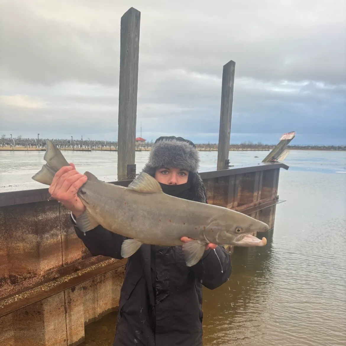 The most recent Atlantic salmon catches on Fishbrain