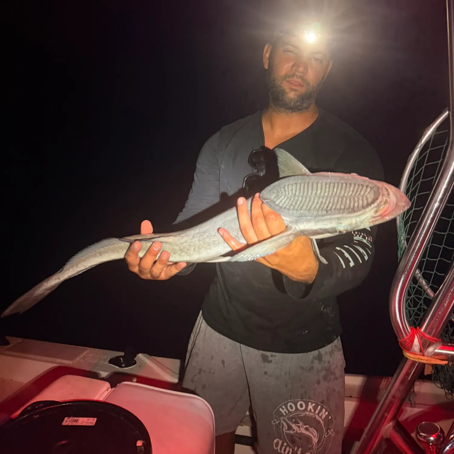 The most recent Marlin sucker catches on Fishbrain