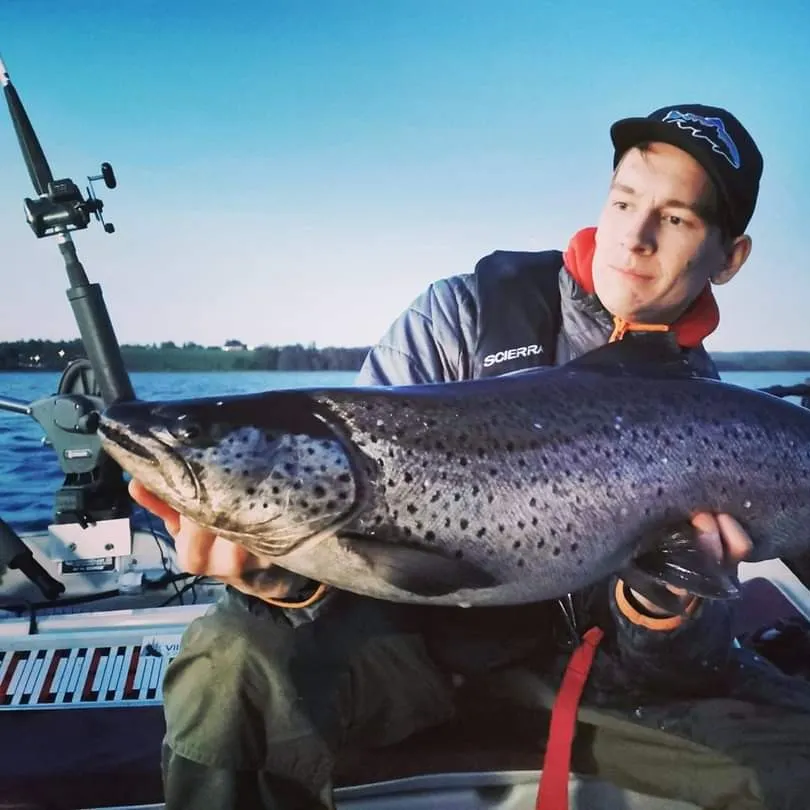 angler catch