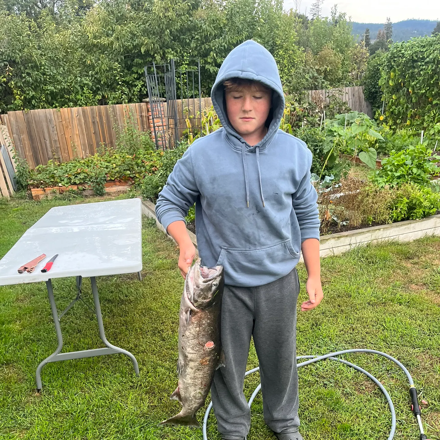 Chinook salmon caught on Fishbrain
